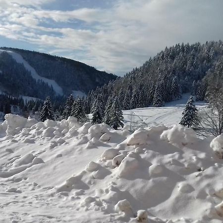 Les Feignes Cerfdore La Bresse Dış mekan fotoğraf