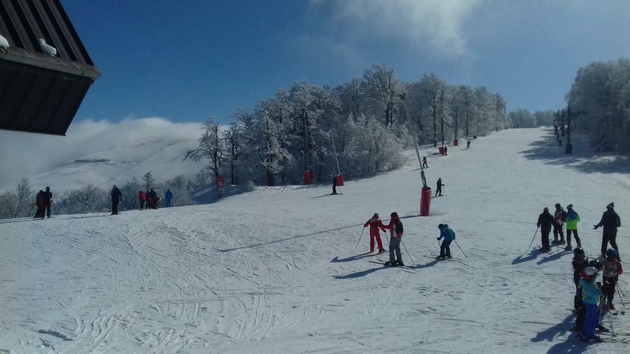 Les Feignes Cerfdore La Bresse Dış mekan fotoğraf