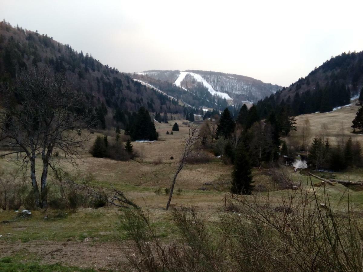 Les Feignes Cerfdore La Bresse Dış mekan fotoğraf